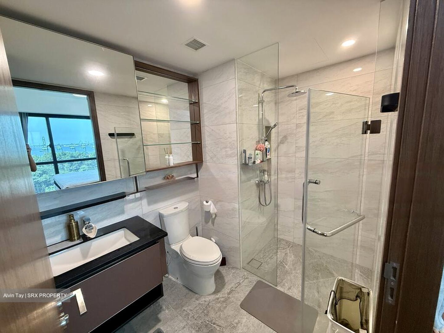 Normanton Park (D5), Apartment #453723691